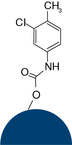 Lux i-Amylose-1