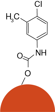 Lux i-Amylose-1