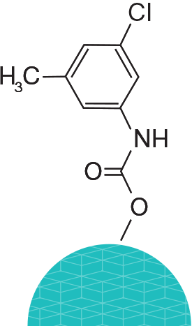 Lux i-Amylose-1