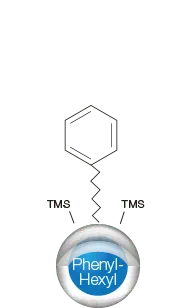 Kinetex Phenyl-Hexyl