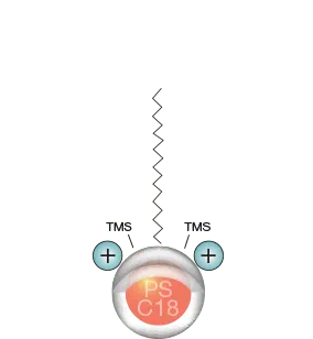 Luna C18