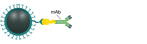 Biozen MagBeads链霉亲和素磁珠